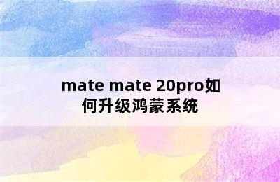 mate mate 20pro如何升级鸿蒙系统